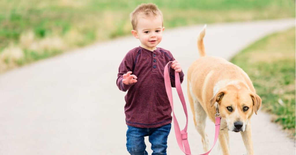 Child walking with a leashed dog on a path.